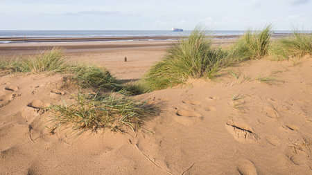 A large container ship exits the Mersey Estuary near Liverpool in October 2021 as it passes the Iron Men statues known as Another Place on Crosby beach.の写真素材