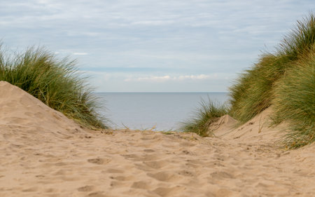 Peaking over the top of a high sand dune facing the Irish Sea on the coast of Formby near Liverpool.の写真素材