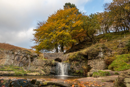 Water flows into a pool at Three Shires Head during the autumn where the counties of Staffordshire, Cheshire and Derbyshire meet, surrounded by fallen golden leaves.の写真素材