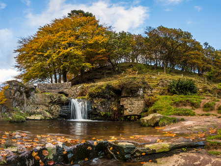 Water flows into a pool at Three Shires Head during the autumn where the counties of Staffordshire, Cheshire and Derbyshire meet.の写真素材