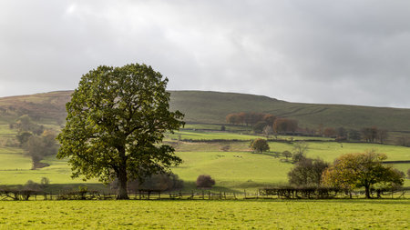 A high dynamic range image of the trees and rolling hills of the Derbyshire Dales taken from the banks of the River Derwent at Hathersage.の写真素材