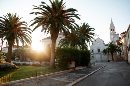 Exotic palm trees near pedestrian asphalted street in front of old houses in Croatia. Deserted road...