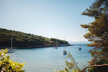 Adriatic sea with four motor yachts against background of dense forest on Brac island, Croatia....