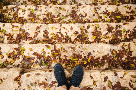 Feet in sneakers on the steps of the stairs with autumn leavesの写真素材