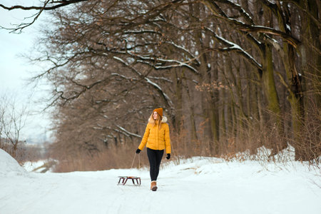 Young woman in yellow winter jacket with sleigh walking in the winter park or forest.の写真素材