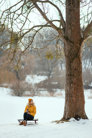 Beautiful woman in yellow winter jacket sitting on a sleigh near the tree and drinking tea from the thermo cup in the winter park.の写真素材