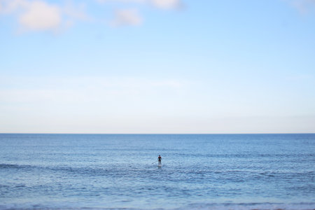 A lone paddleboarder on a calm ocean under a clear blue sky, with a sandy beach in the foreground.の写真素材