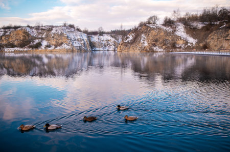 A serene winter landscape featuring a calm lake with ducks swimming. Snow-dusted cliffs and a cloudy...