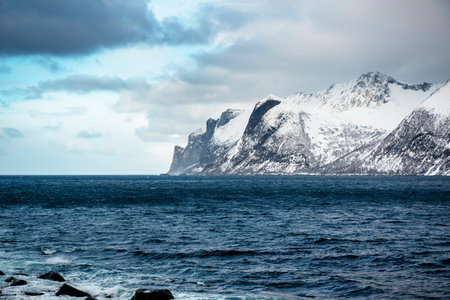 A dramatic coastal landscape featuring snow-covered mountains meeting the sea under a cloudy sky.の写真素材