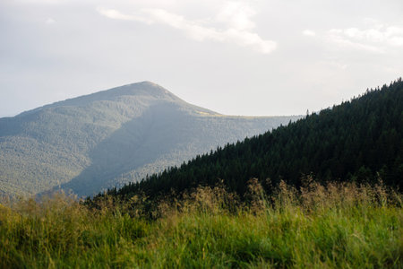 A scenic view of a lush green mountain landscape with a clear sky.