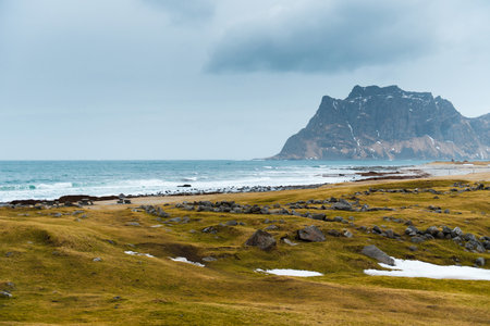 Coastal landscape with grassy fields, rocky shore, and distant mountain.の写真素材