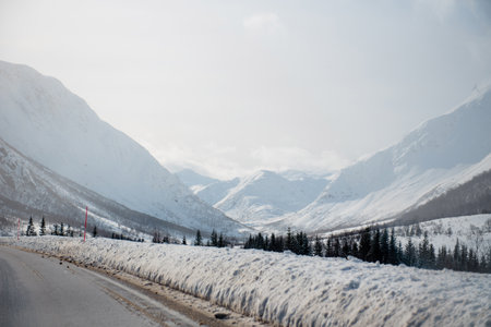 Snow-covered mountain landscape with a road and pine trees. Lofoten islands, Norway