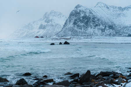 Snow-covered mountains and rocky shore with calm sea. Lofoten islands, Norwayの写真素材
