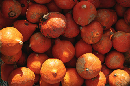 A pile of bright orange pumpkins with textured surfaces.