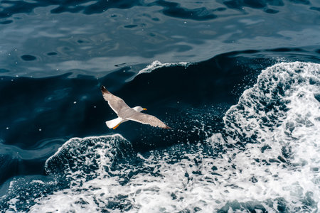 A seagull flying over ocean waves with white foam.