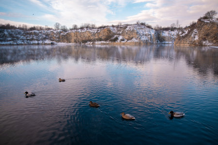 Serene winter lake with ducks swimming, surrounded by snowy cliffs.の写真素材