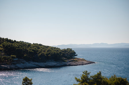 A serene view of the Adriatic Sea coastline with lush green pine trees and rocky shores under a clear blue skyの写真素材