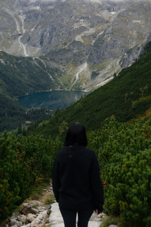A lone hiker walks on a rocky path surrounded by dense green pine trees with a stunning mountain...