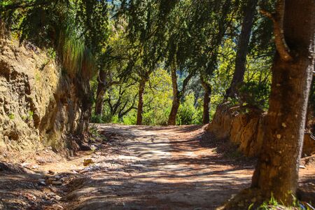 algeria, summer 2019, in the mountains over annabaの写真素材