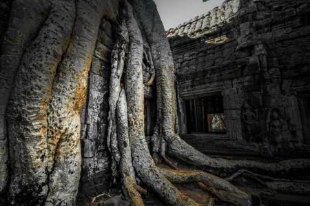 Stone murals and sculptures in Angkor wat, Cambodia the impressive temples near siem reap build by...