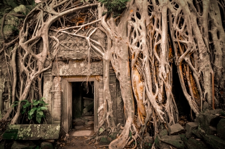 Stone murals and sculptures in Angkor wat, Cambodia the impressive temples near siem reap build by the red khmer civilisation.の写真素材