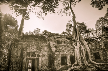 Ta Prohm is the modern name of a temple at Angkor, Siem Reap Province, Cambodia, built in the Bayon style largely in the late 12th and early 13th centuries and originally called Rajaviharaの写真素材
