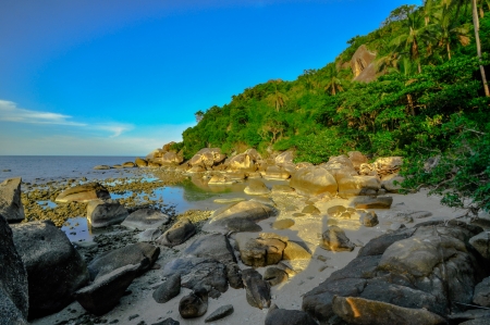 panoramic tropical beach with coconut palm. Koh Samui, Thailand, Asiaの写真素材