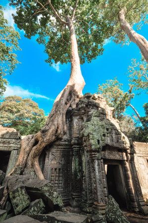 Ancient buddhist khmer temple in Angkor Wat complex, Siem Reap Cambodia Asia