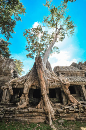 Ancient buddhist khmer temple in Angkor Wat complex, Siem Reap Cambodia Asiaの写真素材
