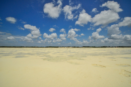 Zanzibar beach and coral rocks bule green ozean Tanzaniaの写真素材