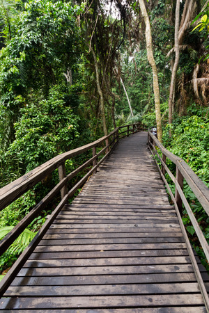 Money forest Ubud Bali Indonesia 2016の写真素材