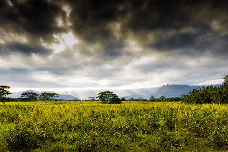 Kauai Mountains on the tropical paradise island of Kauai, Hawaiiの写真素材