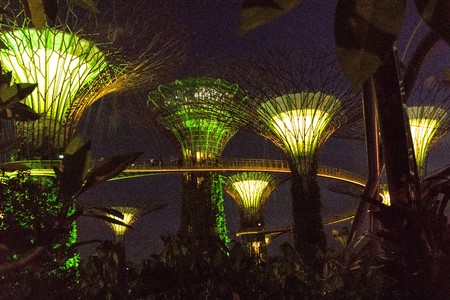 SINGAPORE - JANUARY 15: Night view of Supertree Grove at Gardens by the Bay on January 15, 2016 in Singapore. Spanning 101 hectares of reclaimed land in central Singapore, adjacent to the Marina Reservoir.のeditorial素材