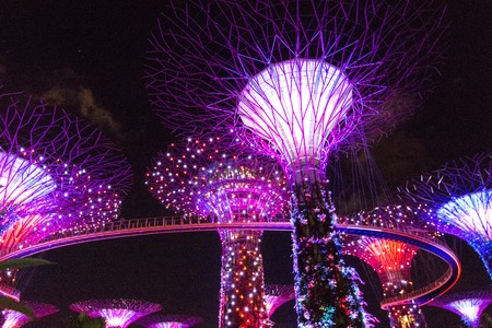 SINGAPORE - JANUARY 15: Night view of Supertree Grove at Gardens by the Bay on January 15, 2016 in Singapore. Spanning 101 hectares of reclaimed land in central Singapore, adjacent to the Marina Reservoir.のeditorial素材