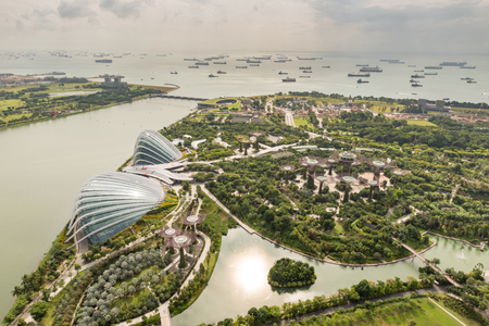 SINGAPORE - JANUARY 15: Night view of Supertree Grove at Gardens by the Bay on January 15, 2016 in Singapore. Spanning 101 hectares of reclaimed land in central Singapore, adjacent to the Marina Reservoir.のeditorial素材
