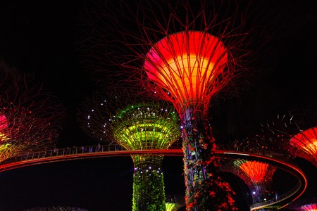SINGAPORE - JANUARY 15: Night view of Supertree Grove at Gardens by the Bay on January 15, 2016 in Singapore. Spanning 101 hectares of reclaimed land in central Singapore, adjacent to the Marina Reservoir.のeditorial素材
