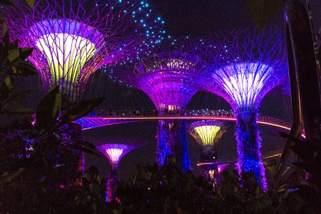 SINGAPORE - JANUARY 15: Night view of Supertree Grove at Gardens by the Bay on January 15, 2016 in Singapore. Spanning 101 hectares of reclaimed land in central Singapore, adjacent to the Marina Reservoir.のeditorial素材