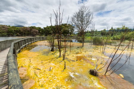 Wai-O-Tapu near Rotorua, New Zealand geology geothermalの写真素材