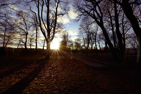 Dawn sunsetの写真素材