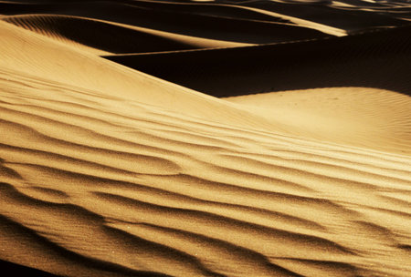 Desertの写真素材