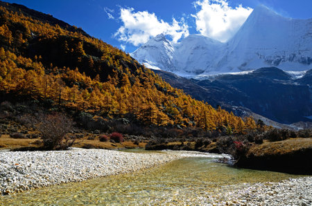 Daocheng