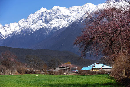 Linzhi villageの写真素材