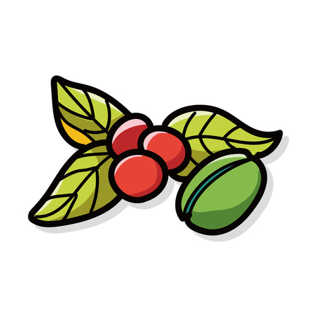 coffee bean color doodleのイラスト素材