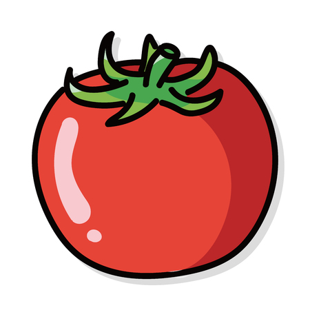 vegetable Tomatoes color doodleのイラスト素材