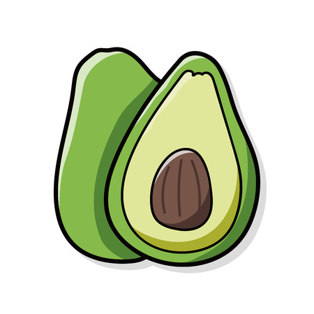 fruits Avocado doodleのイラスト素材