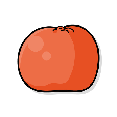 fruits orange doodleのイラスト素材