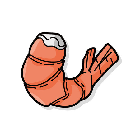shrimp doodleのイラスト素材