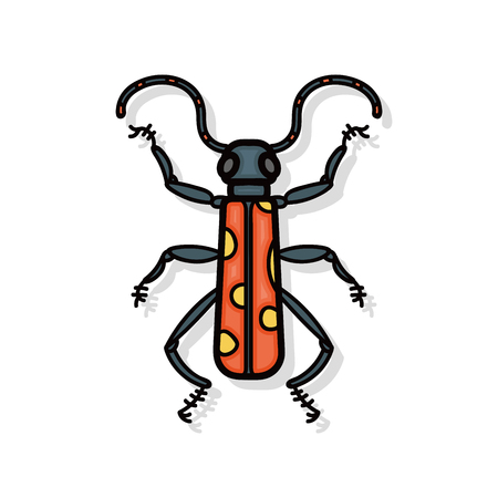 bug doodleのイラスト素材