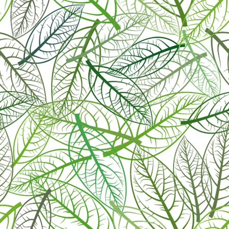 Seamless pattern leaves of a tree avocadoのイラスト素材