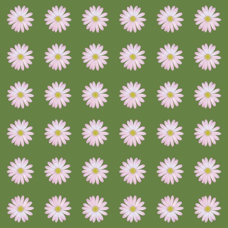 Pattern of white daisies on green backgroundのイラスト素材